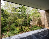 Brillia 文京西片のフォトギャラリー：コートヤード