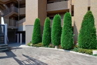 アールヴェール緑地公園のフォトギャラリー：外構