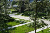 Brillia Tower KAWASAKIのフォトギャラリー：フォレストテラス