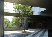 Brillia Tower KAWASAKIのフォトギャラリー：コーチエントランス