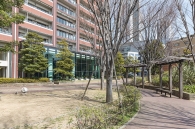 ザ・コスギタワーのフォトギャラリー：アプローチ