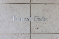 ザ・フォレストレジデンス のフォトギャラリー：エントランス