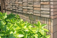 ザ・ノブトヒルズのフォトギャラリー：エントランス