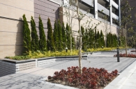 Brillia Tower 所沢ロジュマンのフォトギャラリー：外構