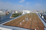 Brillia 辰巳 CANAL TERRACEのフォトギャラリー：屋上