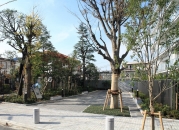 Brillia 砧公園 のフォトギャラリー：外構