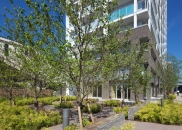 Brillia 武蔵小杉 のフォトギャラリー：外観