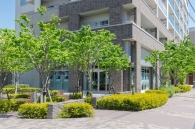 Brillia 武蔵小杉 のフォトギャラリー：外観