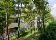 Brillia 宮前平のフォトギャラリー：外観