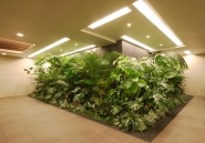 Brillia 越谷レイクタウン のフォトギャラリー：共用部