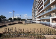 Brillia 六甲アイランドブランズリビオのフォトギャラリー：ゲートボールコート