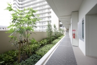 鶴見横堤ガーデンズマークのフォトギャラリー：共用廊下