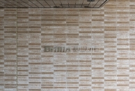 Brillia 品川大井町のフォトギャラリー：エントランス