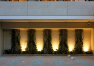 Brillia 西荻窪のフォトギャラリー：外構