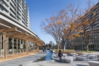 Brillia 多摩ニュータウン のフォトギャラリー：丘の上の広場