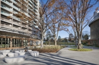 Brillia 多摩ニュータウン のフォトギャラリー：丘の上の広場