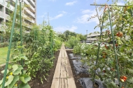 Brillia 多摩ニュータウン のフォトギャラリー：クラインガルテン（菜園）