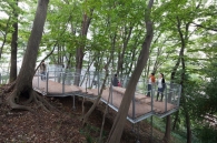 Brillia 多摩ニュータウン のフォトギャラリー：ランドスケープ