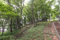 Brillia 多摩ニュータウン のフォトギャラリー：ランドスケープ