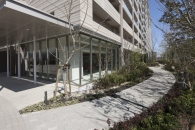 ミリカヒルズのフォトギャラリー：Ａ・Ｂ棟 アプロ－チ