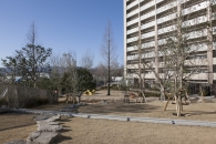 ミリカヒルズのフォトギャラリー：ウエルカムプラザ屋上