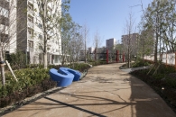 ミリカヒルズのフォトギャラリー：セントラルアベニュ－