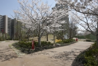 ミリカヒルズのフォトギャラリー：セントラルアベニュ－