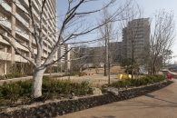 ミリカヒルズのフォトギャラリー：セントラルアベニュ－