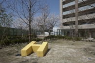 ミリカヒルズのフォトギャラリー：セントラルアベニュ－