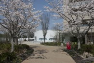 ミリカヒルズのフォトギャラリー：セントラルアベニュ－