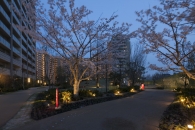 ミリカヒルズのフォトギャラリー：セントラルアベニュ－ 夕景