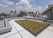 Brillia 駒沢大学のフォトギャラリー：共用部