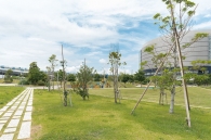 スカイズ タワー＆ガーデンのフォトギャラリー：ランドスケープ