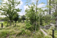 スカイズ タワー＆ガーデンのフォトギャラリー：ランドスケープ