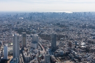 Brillia Tower 池袋のフォトギャラリー：航空写真