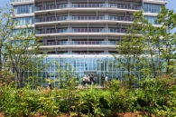 Brillia Tower 池袋のフォトギャラリー：豊島の森