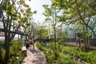 Brillia Tower 池袋のフォトギャラリー：豊島の森