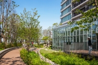 Brillia Tower 池袋のフォトギャラリー：豊島の森