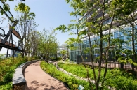 Brillia Tower 池袋のフォトギャラリー：豊島の森