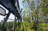 Brillia Tower 池袋のフォトギャラリー：豊島の森