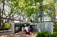 Brillia Tower 池袋のフォトギャラリー：豊島の森