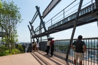 Brillia Tower 池袋のフォトギャラリー：豊島の森