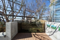 Brillia Tower 池袋のフォトギャラリー：豊島の森