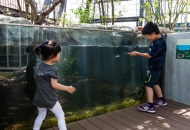 Brillia Tower 池袋のフォトギャラリー：豊島の森