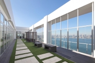 Brillia 有明 City Towerのフォトギャラリー：テラスガーデン