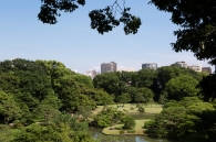 Brillia 駒込六義園のフォトギャラリー：遠景