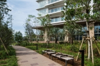 ベイズ タワー＆ガーデンのフォトギャラリー：外構