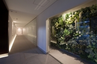 Brillia シティ千里丘のフォトギャラリー：ガーデンコリドー