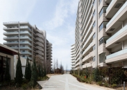 ミリカテラスのフォトギャラリー：プライベートガーデン