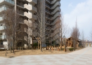 ミリカテラスのフォトギャラリー：冒険の丘